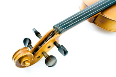 Violin head clipart