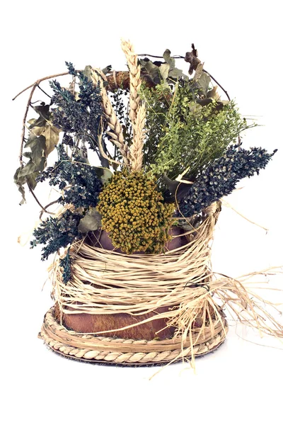 Bukiet suche zioła — Zdjęcie stockowe