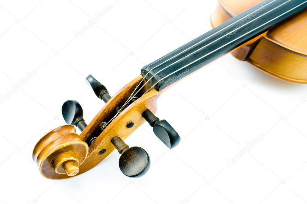 Violin head
