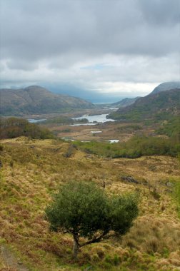 Hanımlar görüntüle