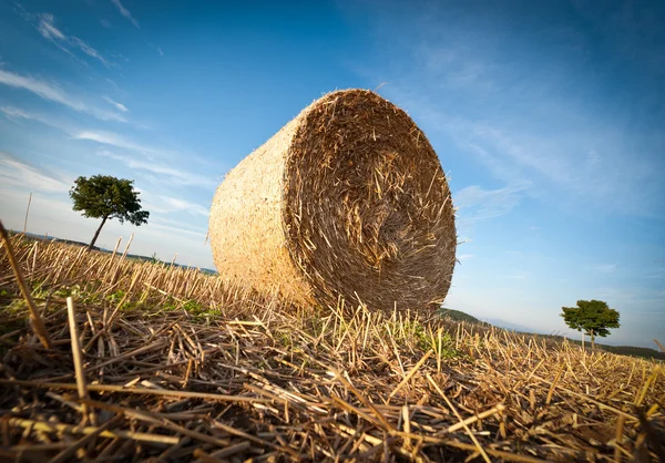 Hay Bale on the late Afternoon — Stock Photo, Image