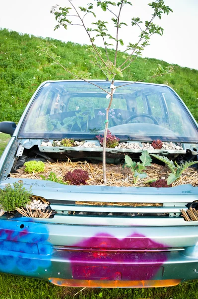 Fa, egy autó — Stock Fotó