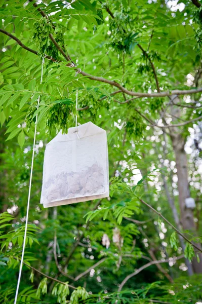 Чайная сумка на дереве — стоковое фото