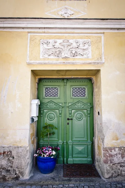 Зелений передні двері — стокове фото