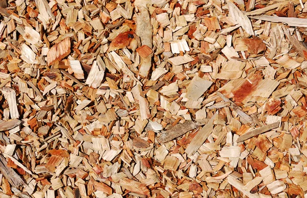 stock image Wooden chips layer