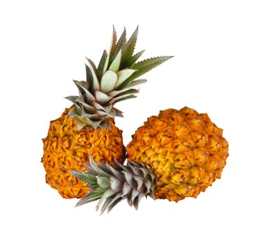 Two fresh juicy pineapples clipart