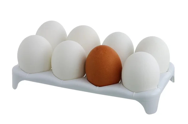 Siete huevos blancos y uno marrón en caja — Foto de Stock