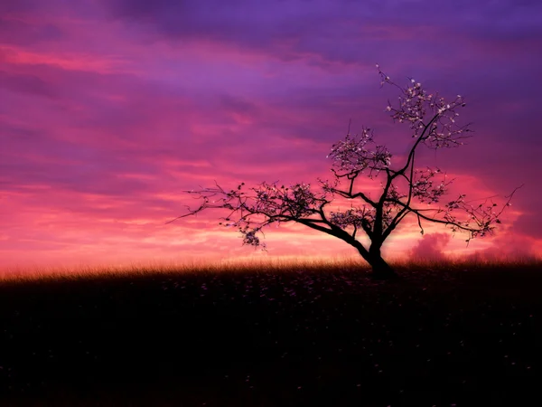 Romantischer Sonnenuntergang — Stockfoto