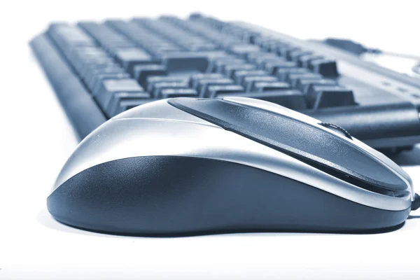 Мышь на клавиатуре — стоковое фото