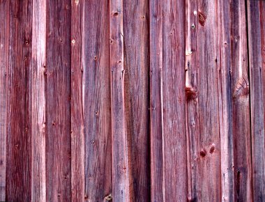 Texture of weathered wood clipart