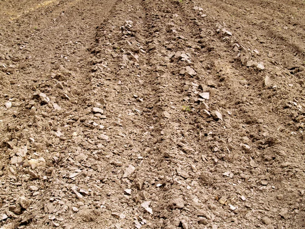 stock image Plowed soil rows background