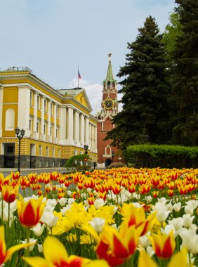 Street inside Kremlin, Moscow, Russia clipart