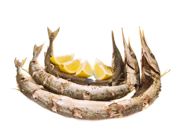 Garfish (Belone belone) al forno — Foto Stock