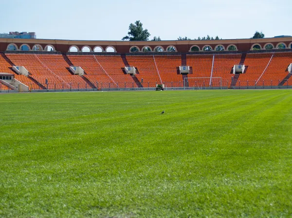 Prázdný zelený fotbalové hřiště — Stock fotografie