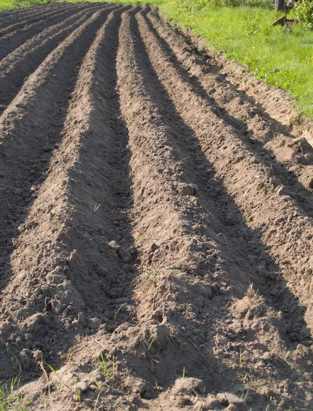 Plowed soil rows background — Stock Photo, Image