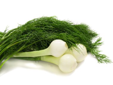 Young onion with dill clipart