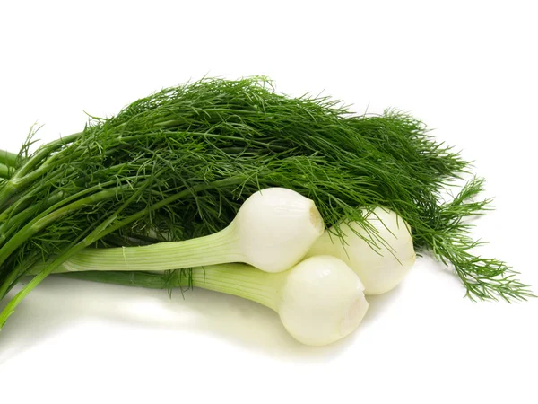 stock image Young onion with dill