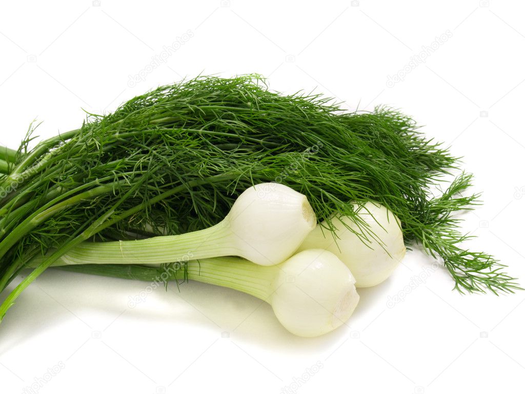 Young onion with dill