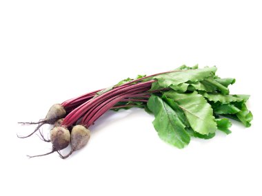 Young beetroot clipart