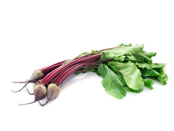 stock image Young beetroot