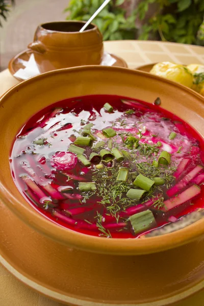 stock image National lithuanian cold beetroot soup