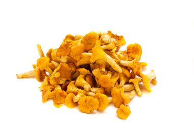 Chanterelles