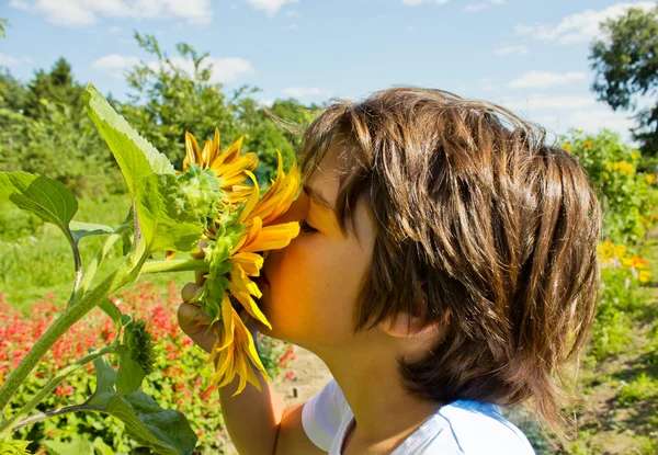 Boy with sunflower — Stock Photo, Image