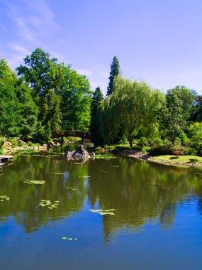 Japonya Bahçe, wroclaw, Polonya