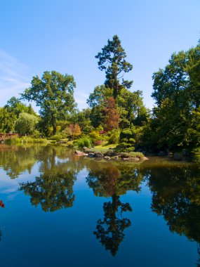 Japonya Bahçe, wroclaw, Polonya