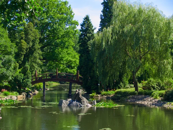 Японский сад, Вроцлав, Польша — стоковое фото