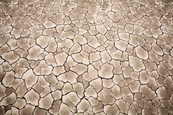 Prasklý suché zemi textury — Stock fotografie