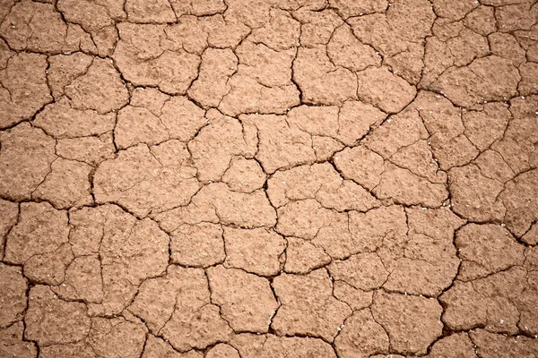 Pęknięty tekstury ziemi suchej — Zdjęcie stockowe