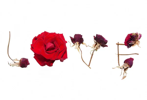 Mot d'amour par roses rouges — Photo