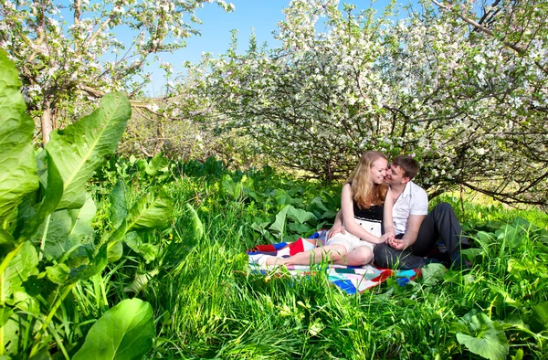 Casal sentado sob árvore florida — Fotografia de Stock