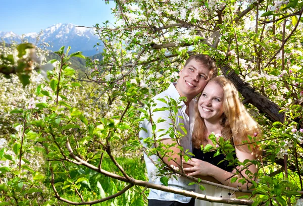 Casal abraçando em torno de árvores floridas — Fotografia de Stock