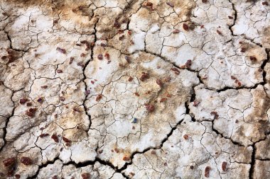 Cracked dry ground texture clipart