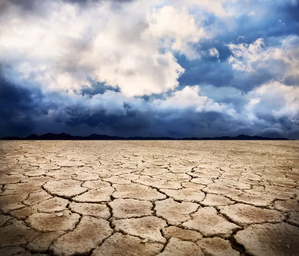 Dürre Erde — Stockfoto