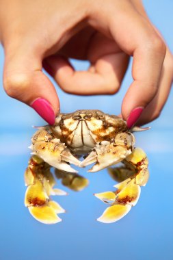 Woman holding crab clipart