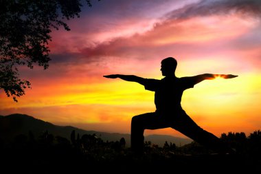 Yoga silhouette virabhadrasana II warrior pose clipart