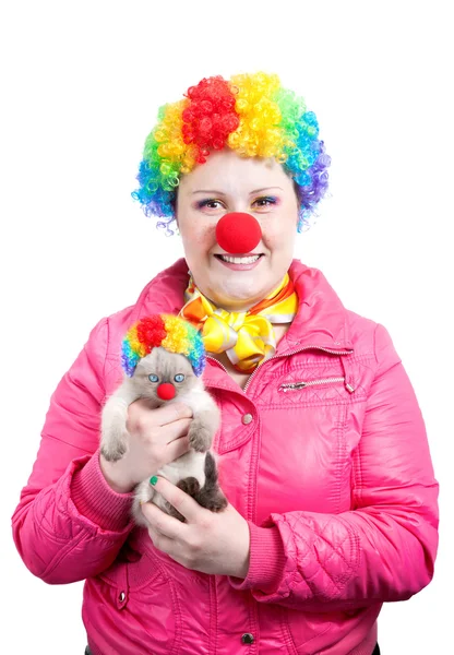Funny Kitten and clown — Stock Photo, Image