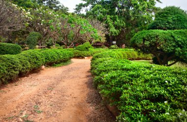 Lalbagh botanical garden in Bangalore clipart