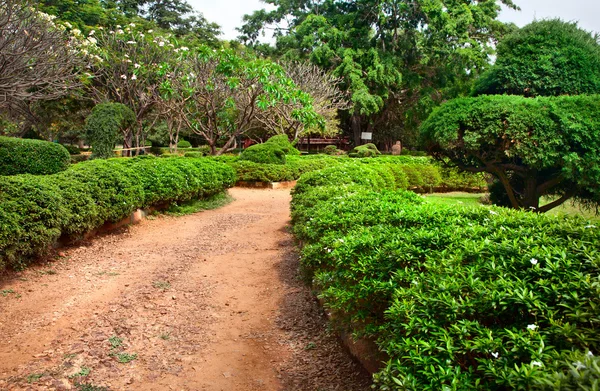बेंगळुरू मध्ये लालबाग वनस्पती बाग — स्टॉक फोटो, इमेज