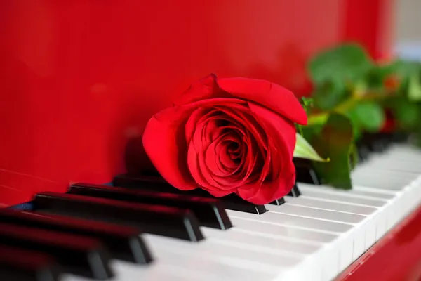 Red rose on red grand piano keys — Stock Photo, Image