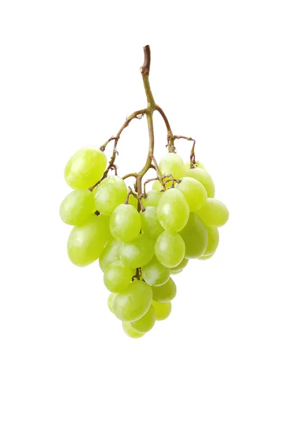 Кластер зелёного винограда — стоковое фото
