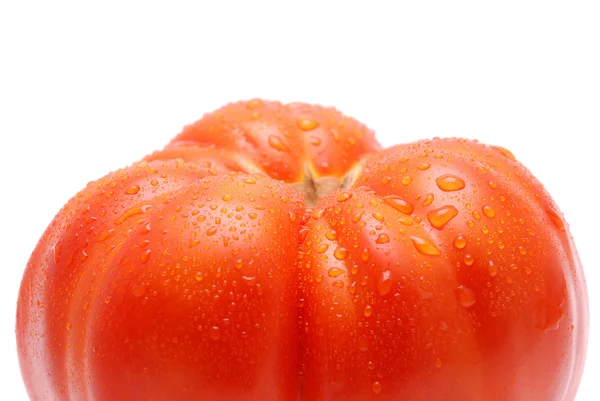 Toppen av stora tomat — Stockfoto