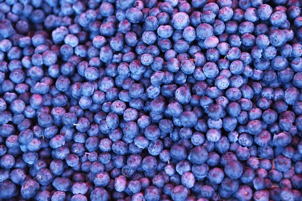 stock image Blueberry background