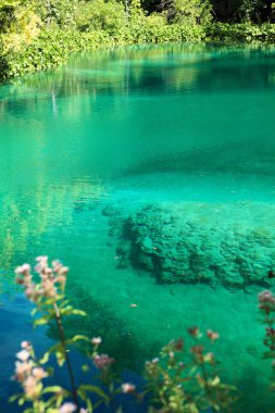 Azure water on Plitvice Lakes clipart