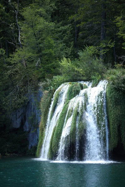 Watelfall en Croatie (lacs de Plitvice ) — Photo
