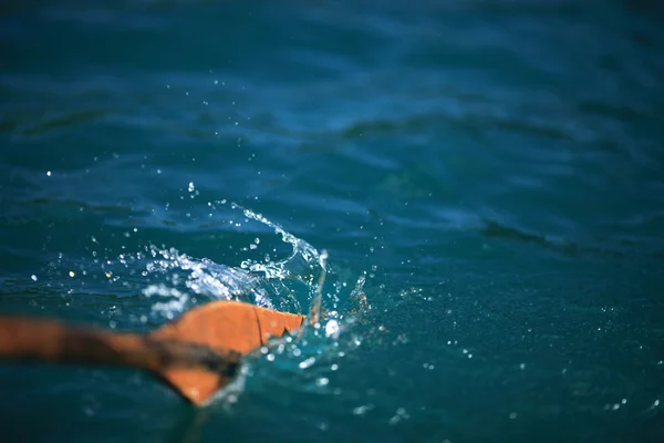 Весло в воде (Хорватия, Плитвицкие озера) ) — стоковое фото