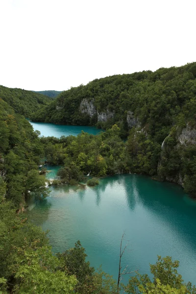 Lacuri plitvice în Croația — Fotografie, imagine de stoc